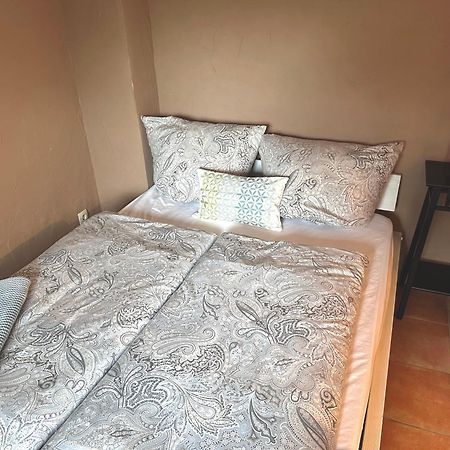 Apartement Am Schloss Pillnitz 드레스덴 외부 사진