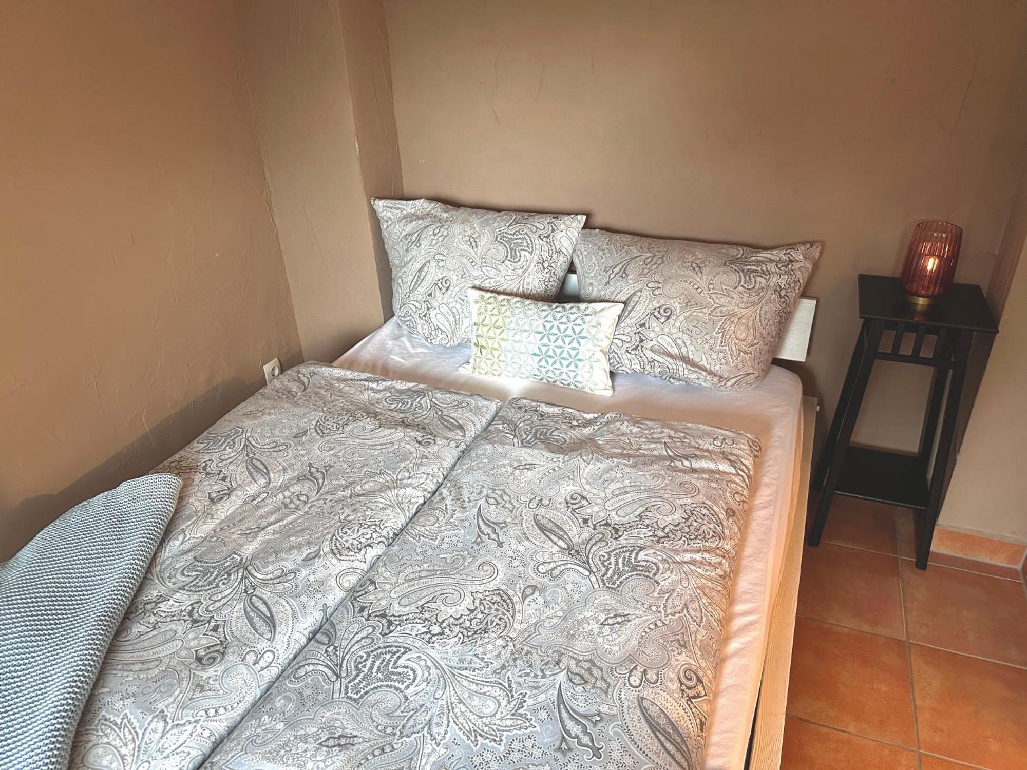 Apartement Am Schloss Pillnitz 드레스덴 외부 사진